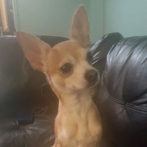 Meet your Posher, Maribel